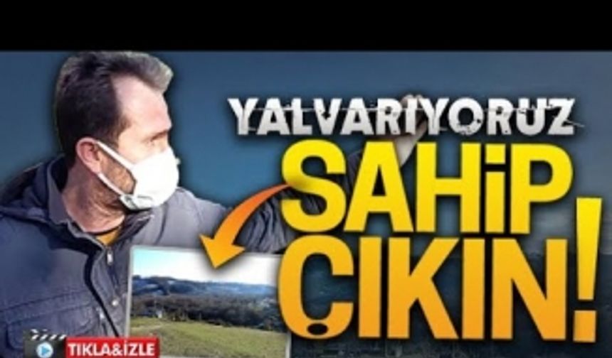 Hürriyet Mahallesi'nde kabus yeniden başladı