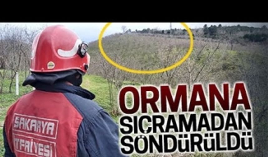 Orman, küle dönmekten son anda kurtarıldı