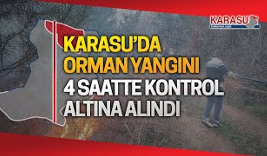 Karasu’da çıkan orman yangını 4 saatte kontrol altına alındı