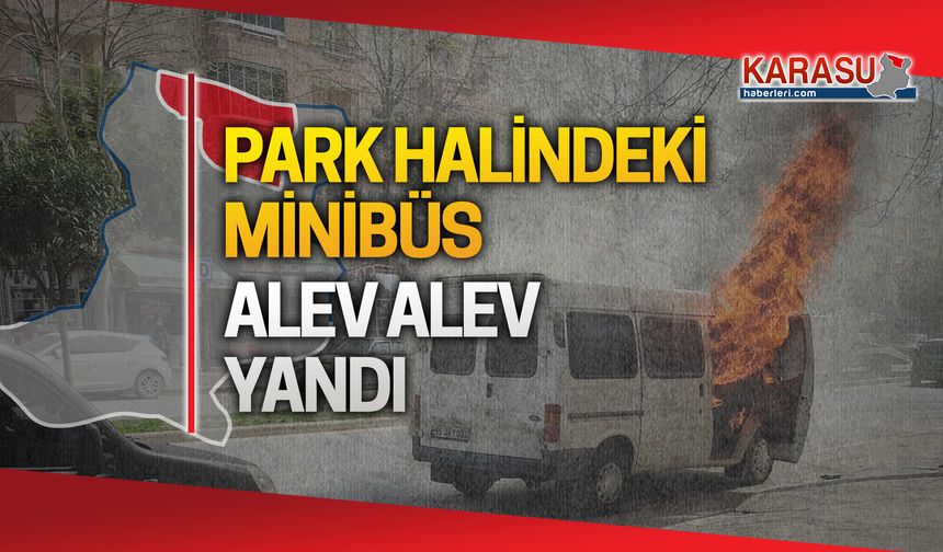 Park halinde alev aldı... İşte o anlar