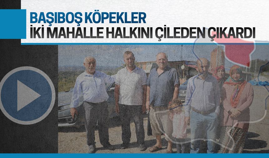 İki mahalle halkını isyan ettiren olay