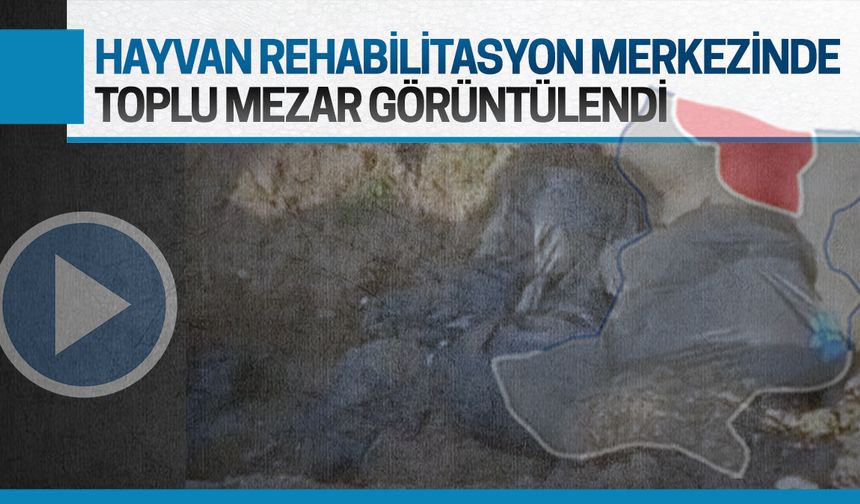 Karasu'da infial oluşturan toplu mezar