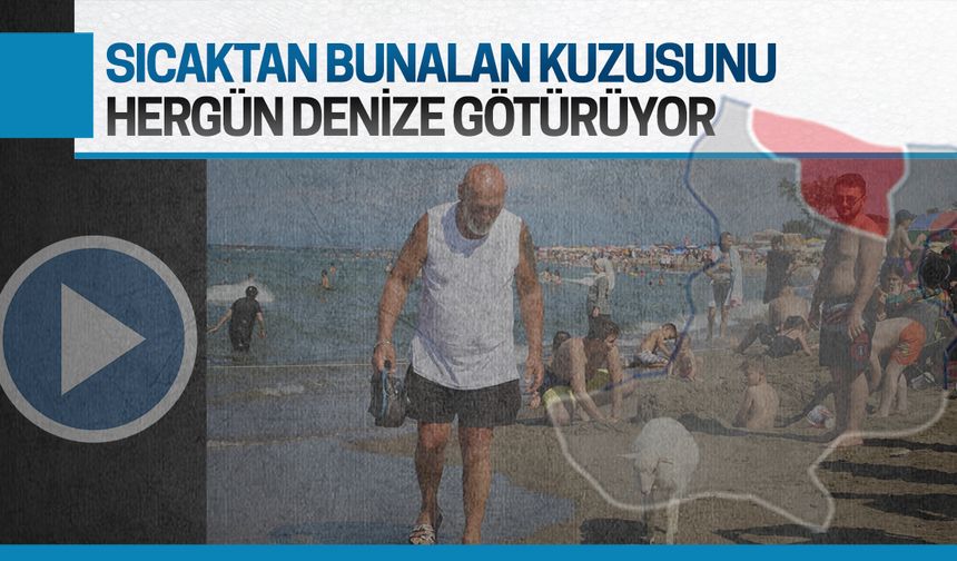 Sıcaktan bunalan kuzusunu her gün denize götürüyor