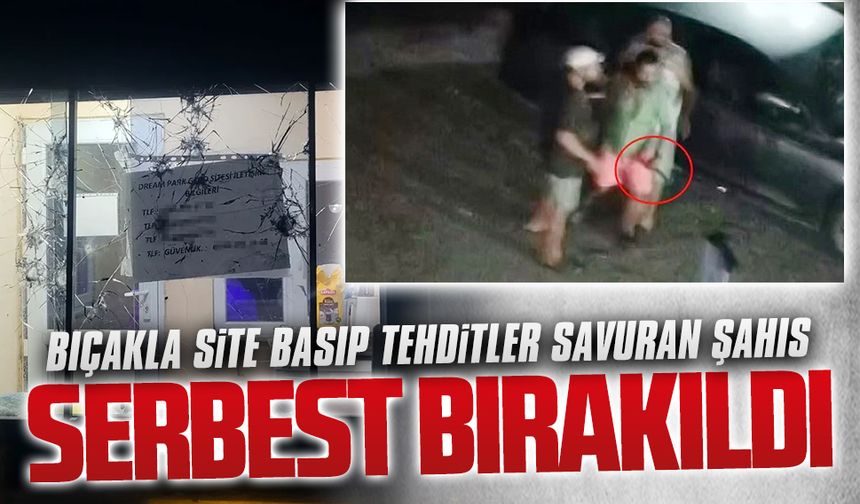 Site basıp tehditler savuran şahıs serbest bırakıldı