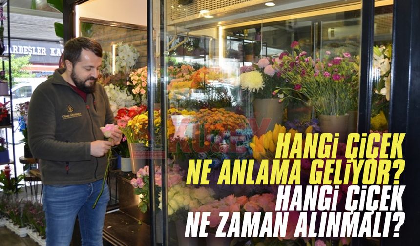 Cihan Altunkaya: Hangi çiçek ne anlama gelir?