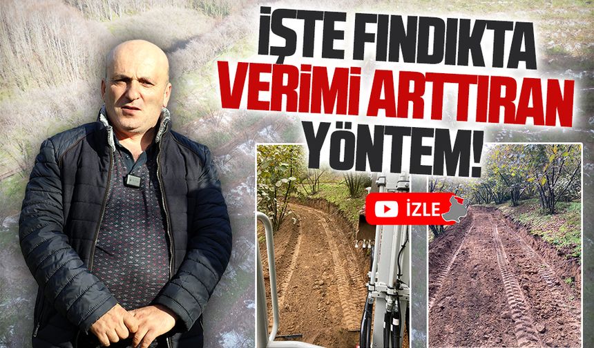 Fındık bahçelerinde teraslama ile verimliliği arttırın