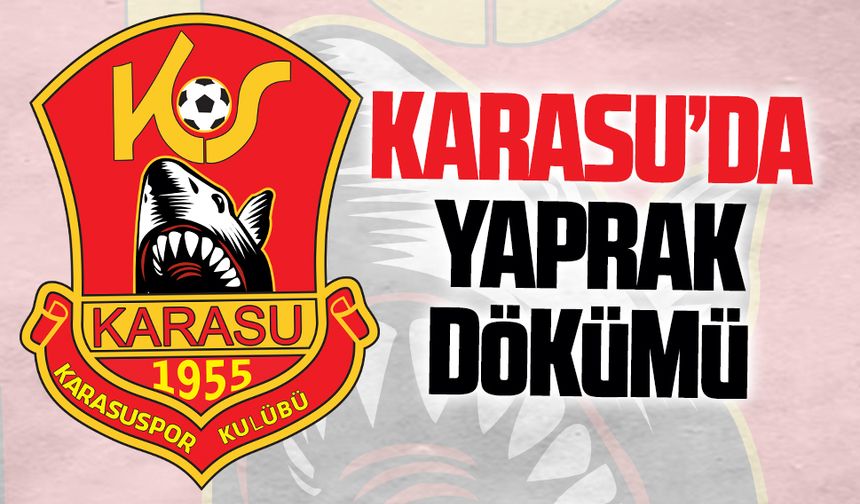 Karasuspor, dört oyuncusu ile yollarını ayırdı