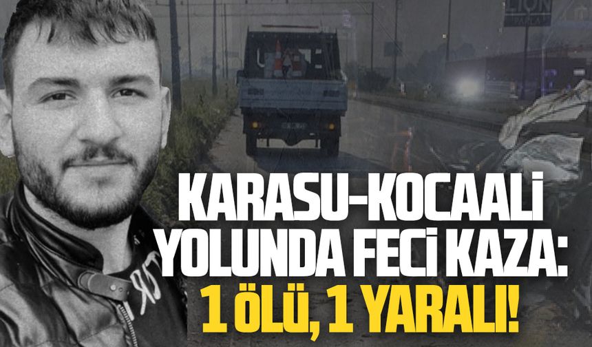 Elektrik direğine çarpan araç sürücüsü hayatını kaybetti