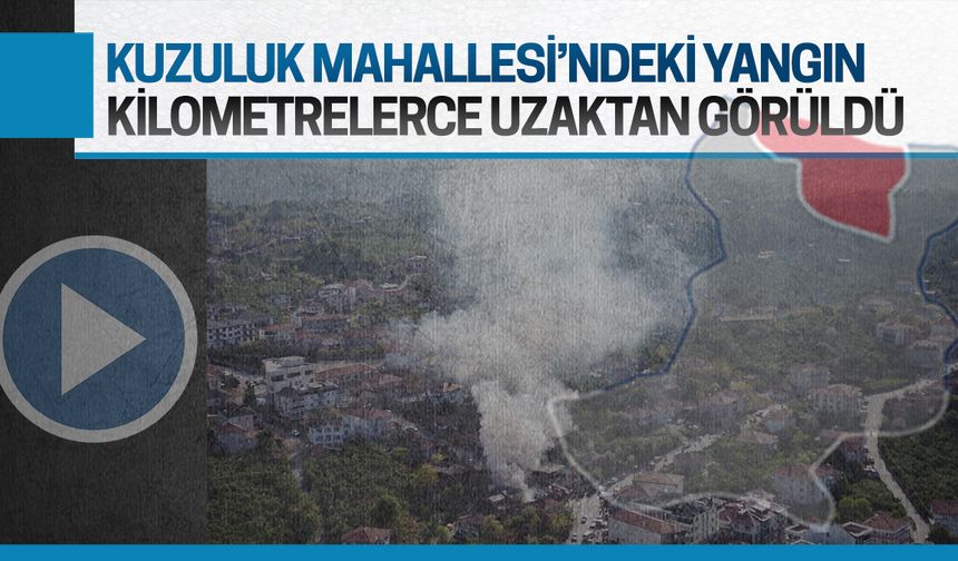 Müstakil ev alevlere teslim oldu