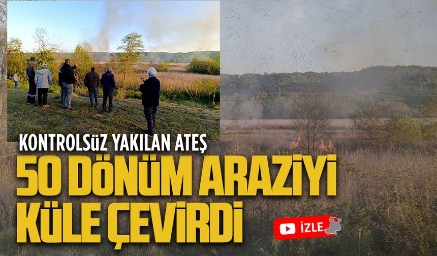 Kontrolsüz yakılan ateş 50 dönüm araziyi küle çevirdi