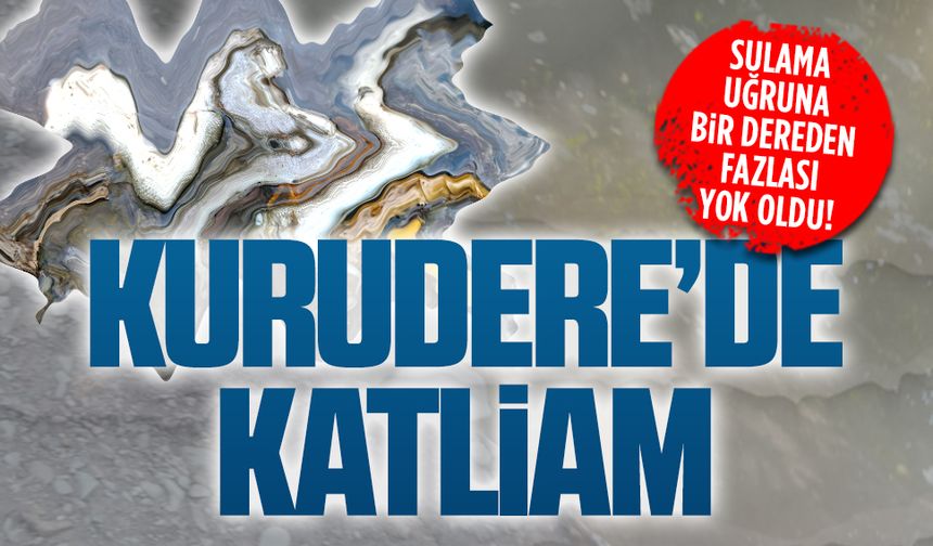 Kurudere’de dereler kurudu, canlılar telef oldu