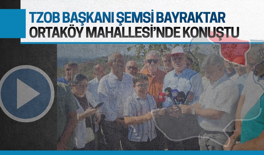 Şemsi Bayraktar: Fındık fiyatını TMO veya tüccar değil, üretici belirleyecek