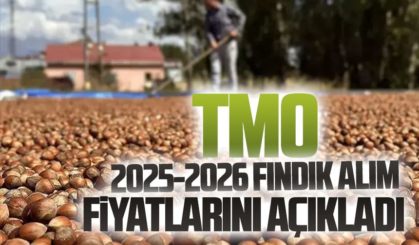 TMO açıkladı: Giresun kalite 200 TL, Levant kalite 195 TL’den alınacak