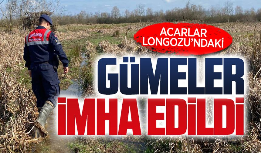 Acarlar Longozu’ndaki gümeler imha edildi