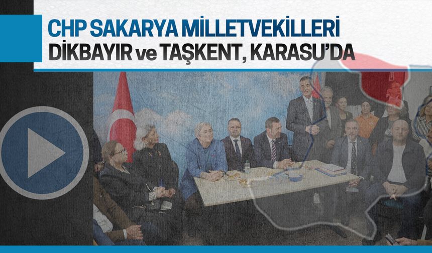 Dikbayır: CHP, onurlu mücadele verirken kenarda duramazdım