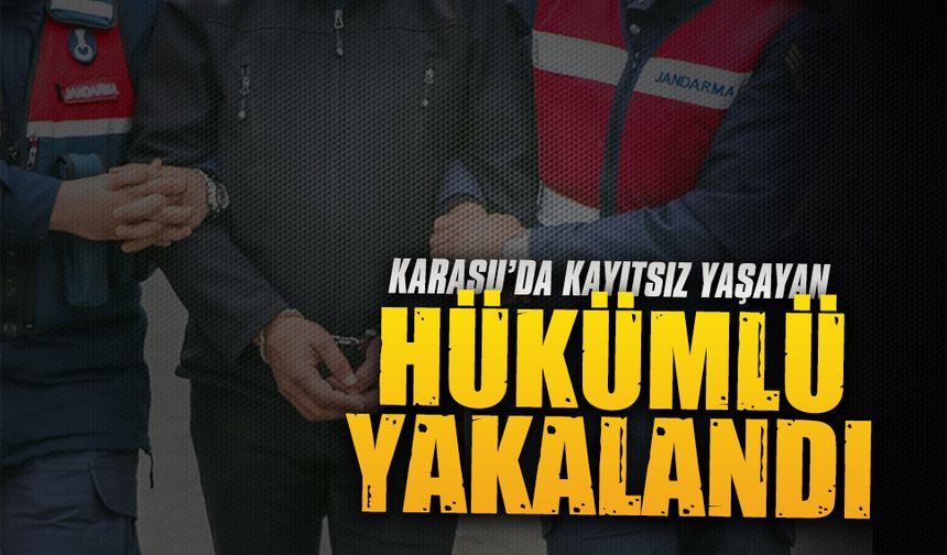 Karasu’da 10 yıl hapis cezası bulunan şahıs yakalandı
