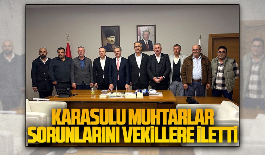 Karasulu muhtarlar sorunlarını vekillere iletti
