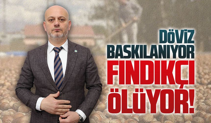 Hasan Sarıoğlu: Döviz baskılanıyor fındıkçı ölüyor