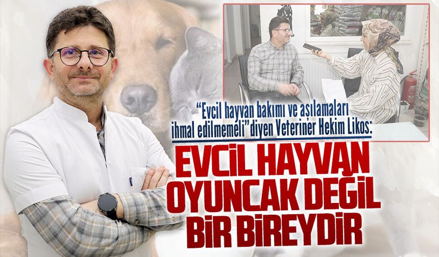 Veteriner Hekim Likos’tan evcil hayvan ile ilgili önemi mesajlar