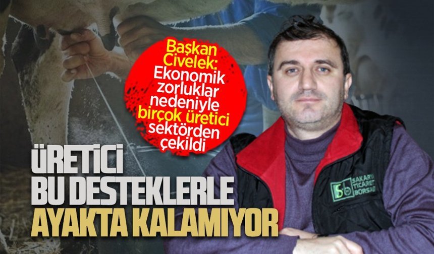 Karasu Süt Üreticileri Birliği Başkanı Yusuf Civelek, desteklemelerin yetersiz olduğuna değindi