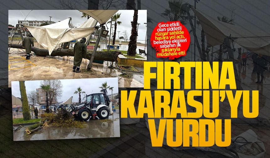 Karasu’da fırtına ağacı devirdi