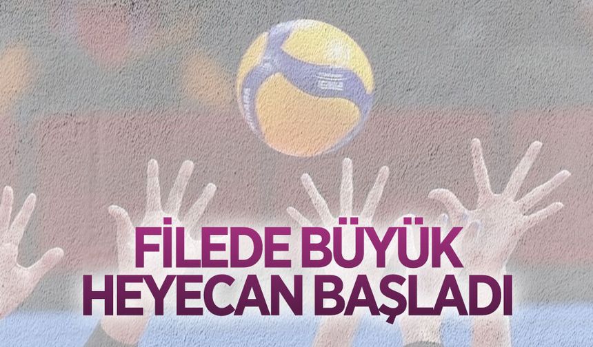 Karasu’da filede büyük heyecan başladı