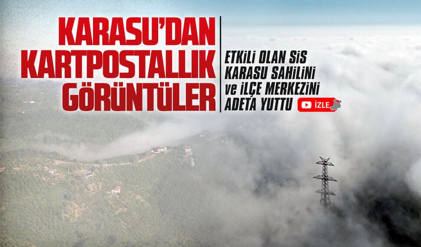 Etkili olan sis, Karasu sahili ve ilçe merkezini adeta yuttu