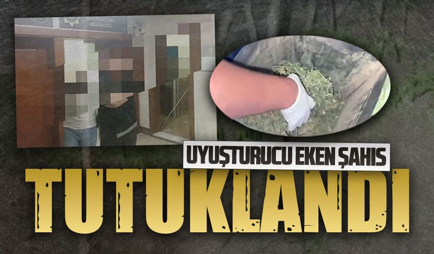 Karasu’da uyuşturucu tarlasına operasyon