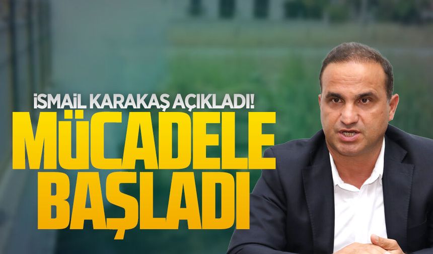 Sivrisinekle mücadele meclis gündemine geldi