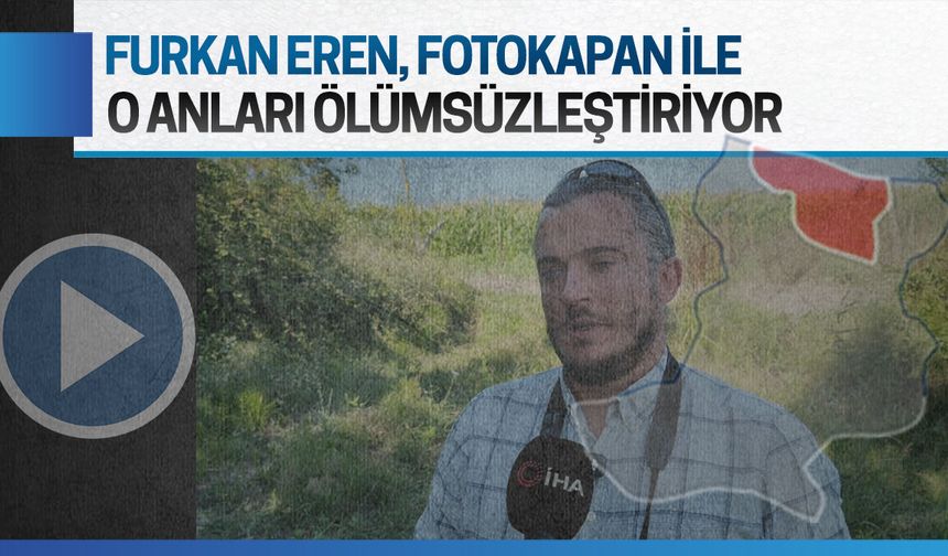 Sakarya’nın yaban hayatı fotokapanlara böyle yansıdı
