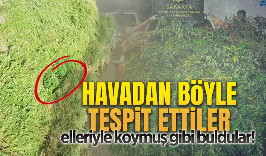 Karasu’da Hint keneviri ve 10 kilo esrar ele geçirildi