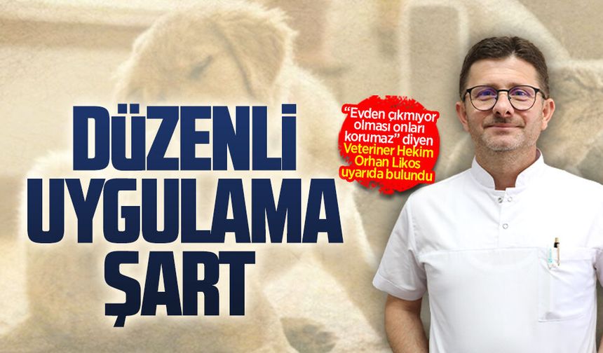 Veteriner Hekim Orhan Likos'tan ayda bir dış parazit uygulaması önerisi