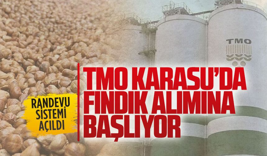 TMO Karasu’da Fındık alımına başlıyor