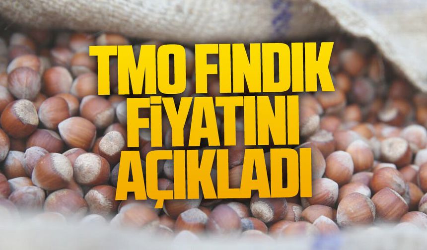 TMO fındık alım fiyatlarını açıkladı