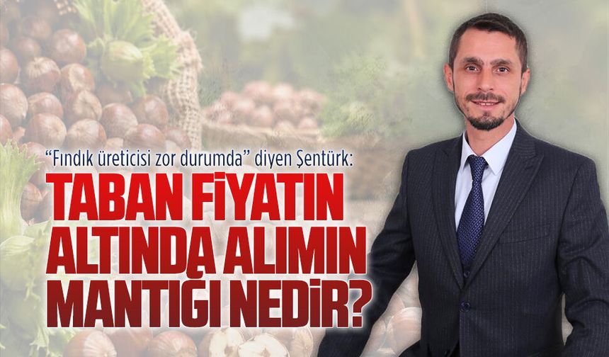 İYİ Parti İlçe Başkanı Şentürk’ten fındık fiyatlarına ilişkin açıklama