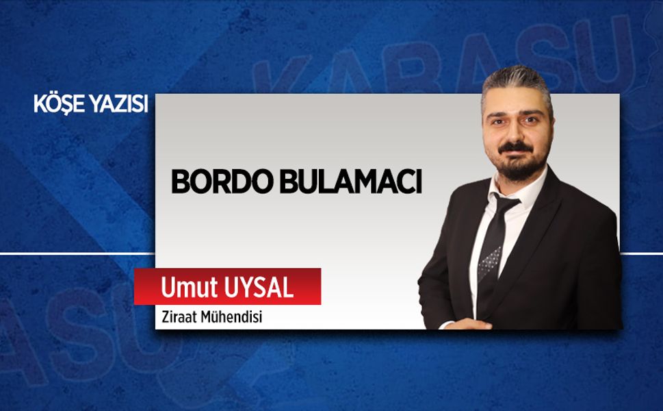 Bordo bulamacı