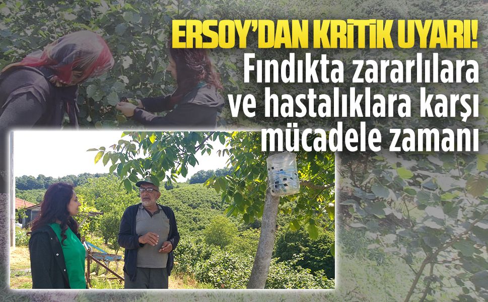 Serap Vildan Ersoy’dan fındık üreticisine kritik uyarılar