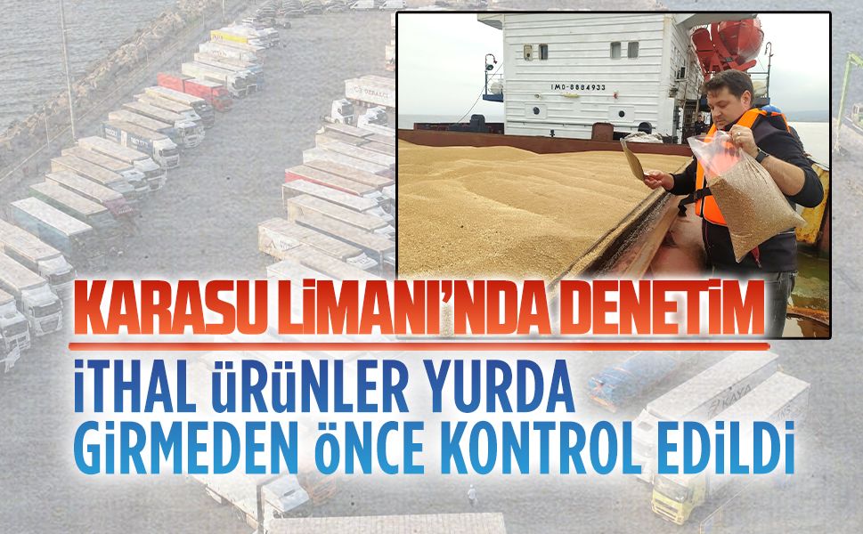 Karasu Limanı’nda bitki sağlığı denetimi yapıldı