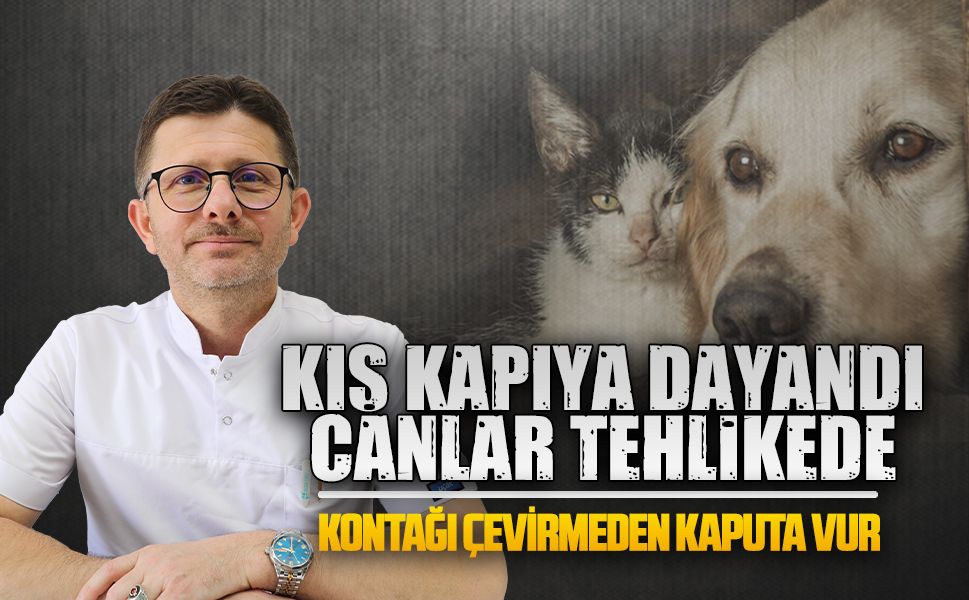 Veteriner Hekim Orhan Likos’tan sokak hayvanları için kritik çağrı