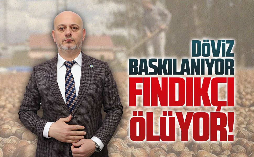 Hasan Sarıoğlu: Döviz baskılanıyor fındıkçı ölüyor