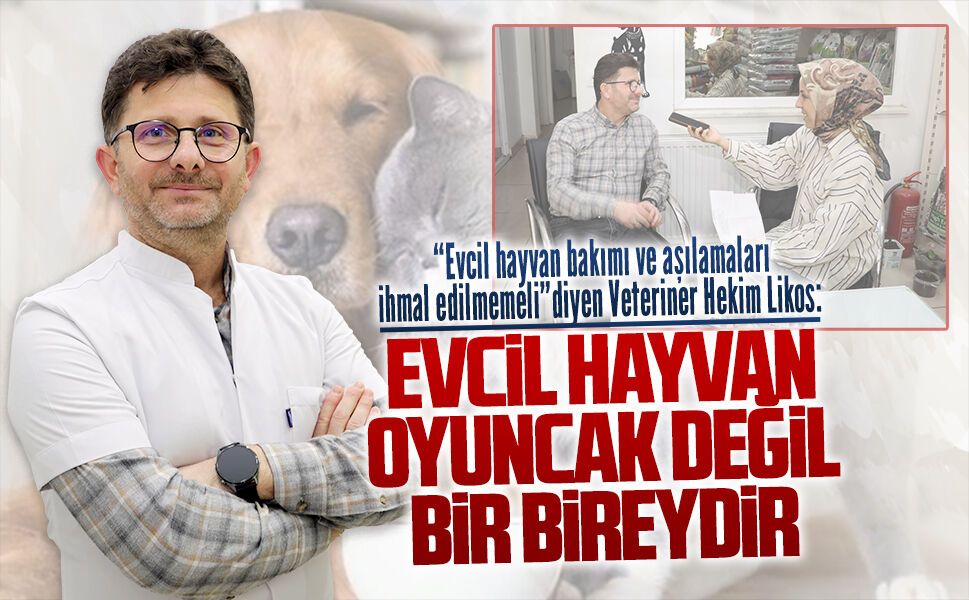 Veteriner Hekim Likos’tan evcil hayvan ile ilgili önemi mesajlar