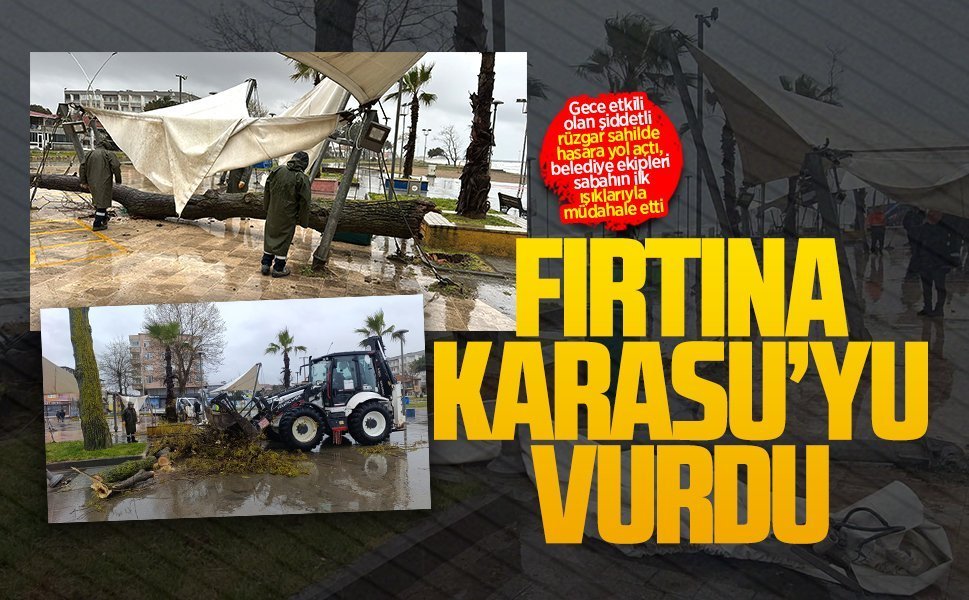 Karasu’da fırtına ağacı devirdi