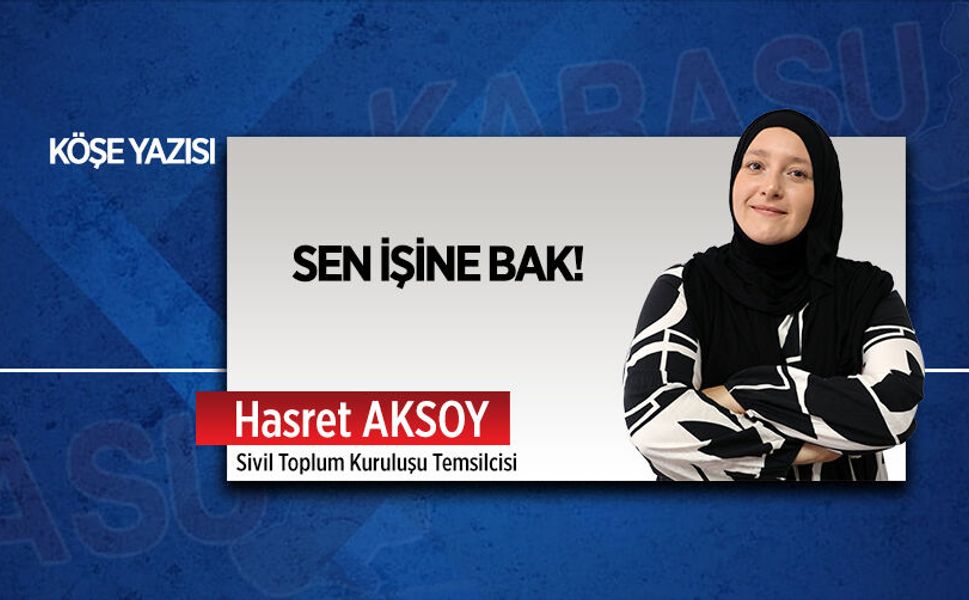 Sen işine bak!