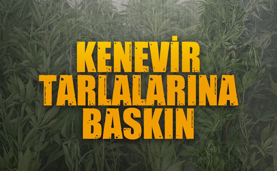 Karasu dahil üç ilçede operasyon