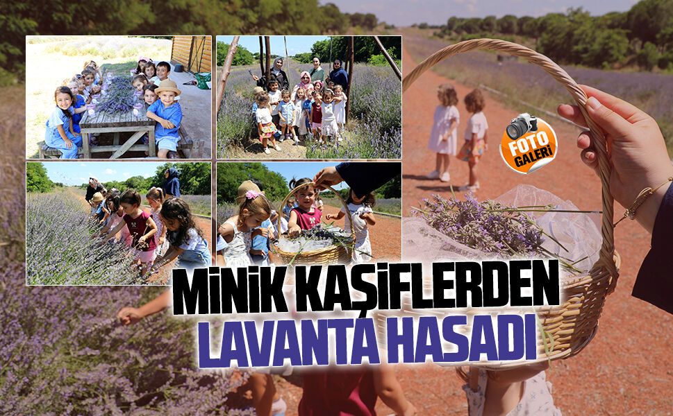 Karasu İlk Adım Gündüz Bakımevi minikleri lavanta bahçesinde