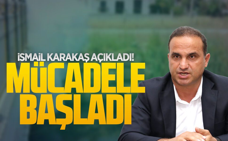 Sivrisinekle mücadele meclis gündemine geldi