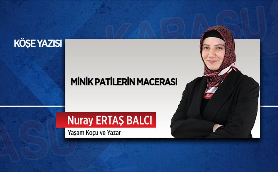 Minik patilerin macerası