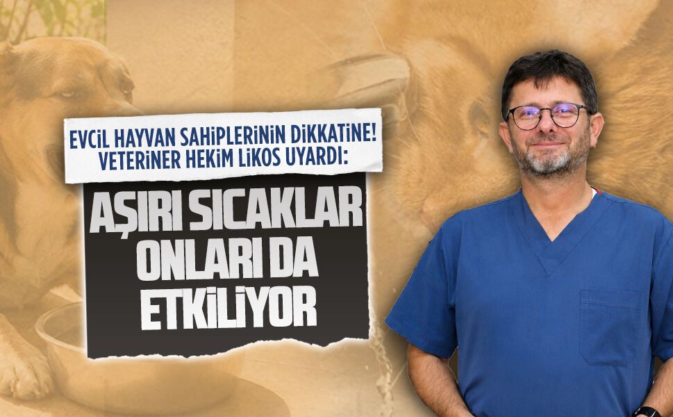 Veteriner Hekim Orhan Likos, evcil hayvan sahiplerine uyarıda bulundu