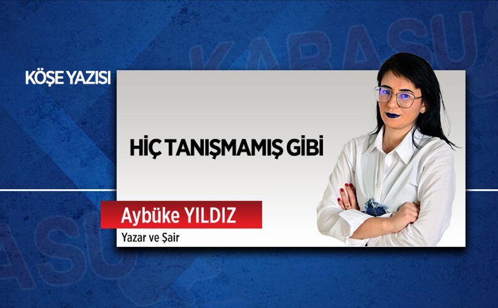 Hiç tanışmamış gibi