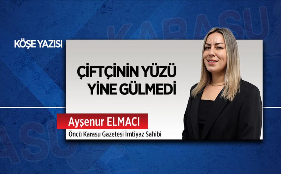 Çiftçinin yüzü yine gülmedi